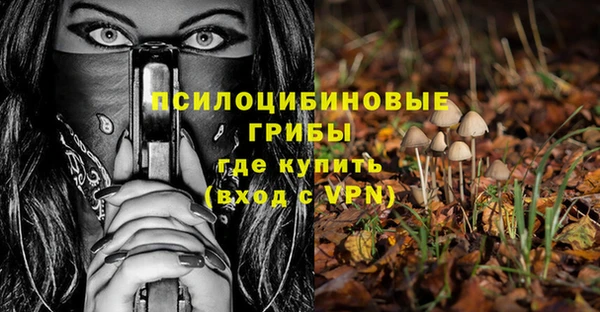 стаф Мурманск